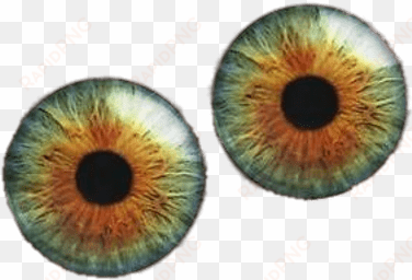 pair of colourful eyeballs - transparent hazel eye png