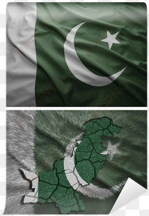 pakistan saudi arabia