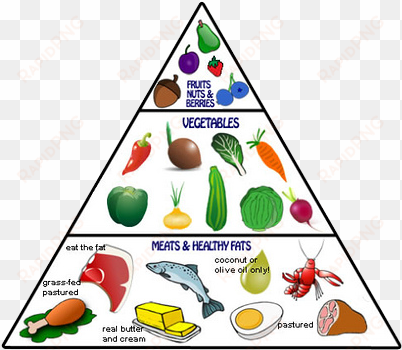paleo food pyramid blog - pescetarian food pyramid