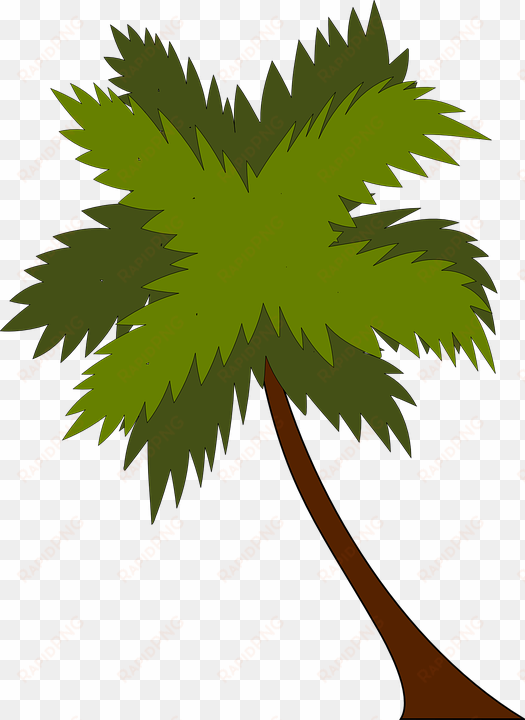 palm - coconut tree png vector