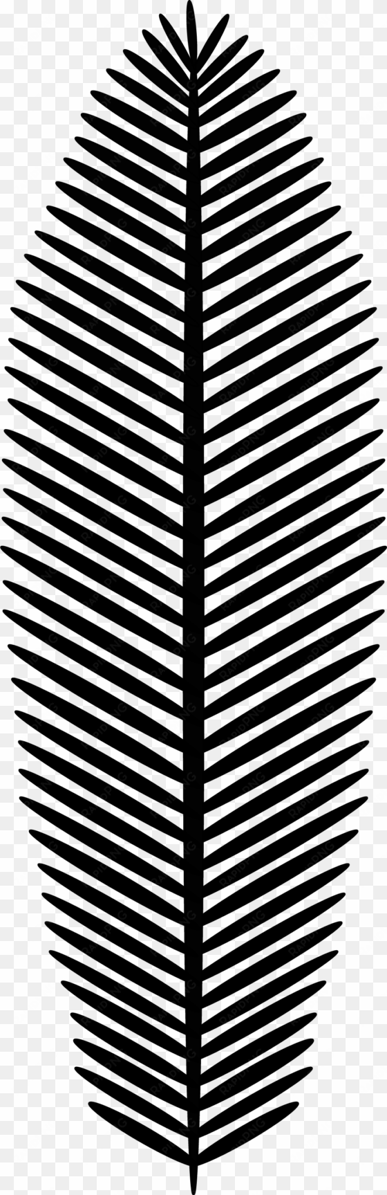 palm leaf 1 - palm leaf png black