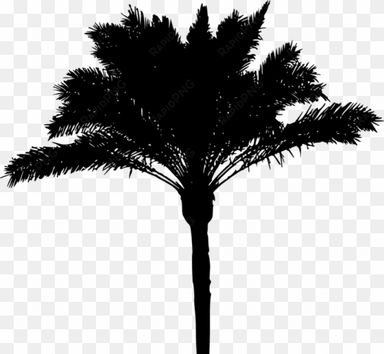 palm tree png download - palm tree silhouette png