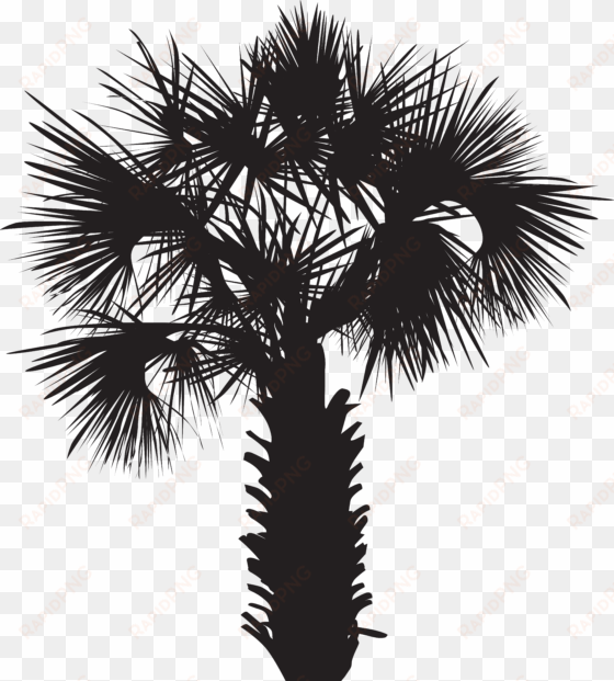 palm tree silhouette png