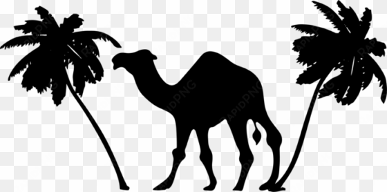 palm trees sahara desert wild bactrian camel - camel clipart