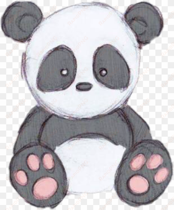 panda cute cutepanda pandastickerfreetoedit - drawings of cute cartoons