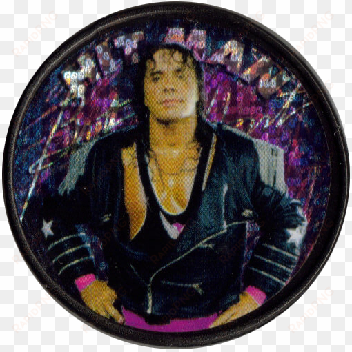 panini caps > world wrestling federation slammers bret - circle