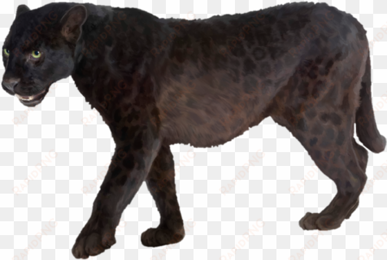panther png transparent picture - panther png