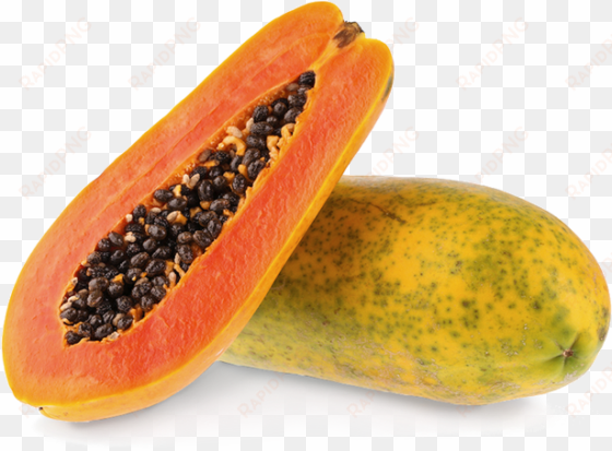 papaya - ripe papaya