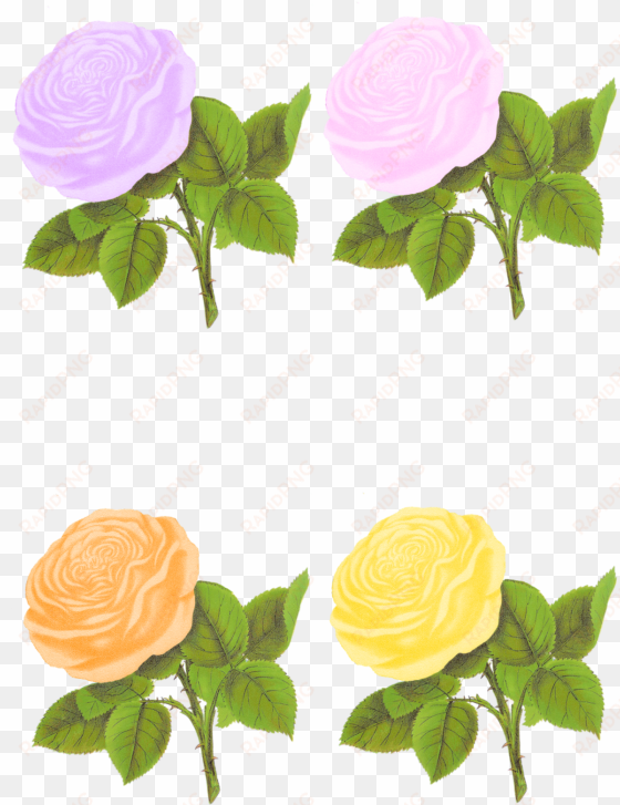 Paper Crafting Rose Digital Collage Sheet Flower Clip - Rose Flower Png Pastel transparent png image