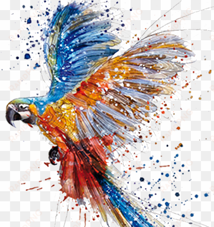 parrot watercolor painting drawing art - tattoo arara aquarela