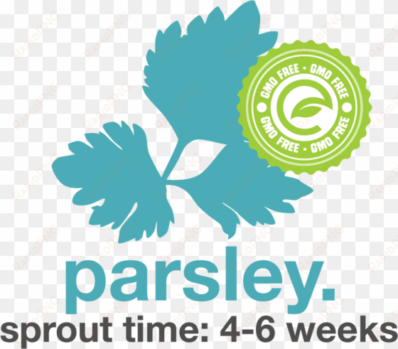 parsley - junior chamber international