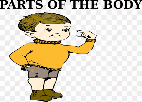 parts of the body clip art at clker body clipart png - part of body png