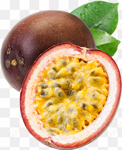 passion fruits - eve's garden, inc eve's passion fruit bonsai seed kit,