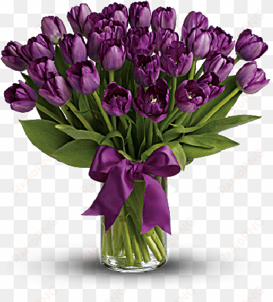 passionatepurpletulips - purple tulips bouquet