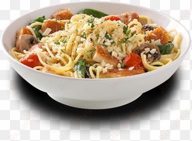 pasta clipart alfredo pasta - noodles and company montamore