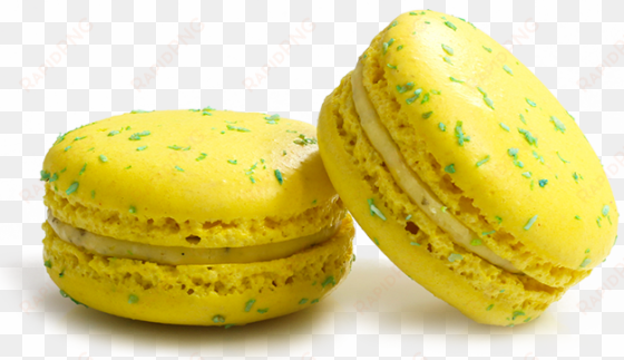 Pâtisserie Chocolaterie Zanin - Zanin transparent png image