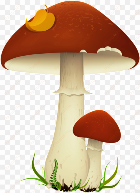 patron de dibujos animados de seta elementos - mushrooms party clipart