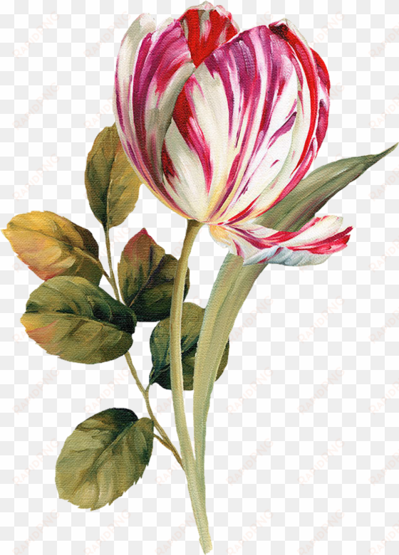 pattern flower, flower silhouette, botanical flowers, - oil painting flower png
