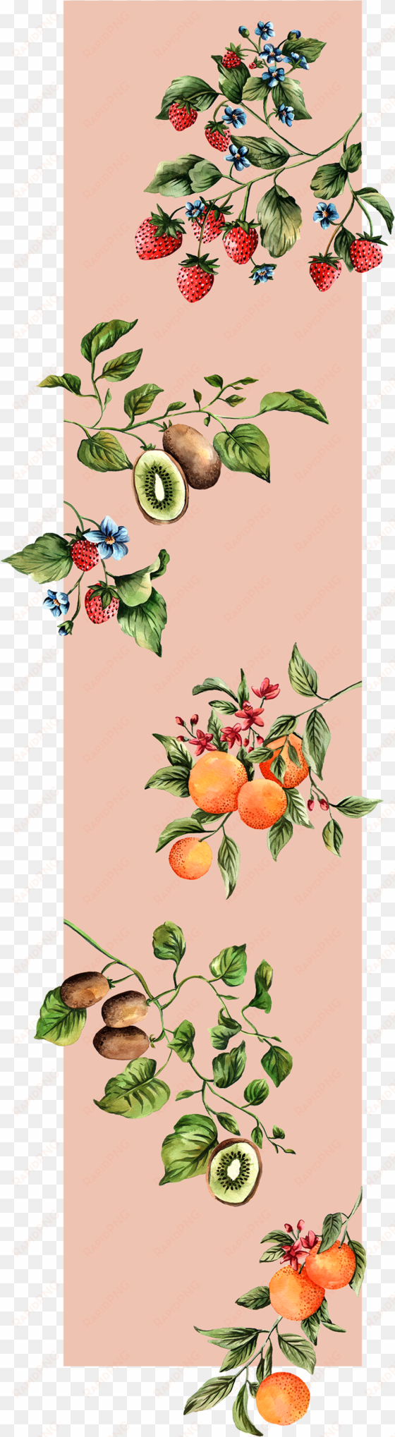 paula hasenack-fruits - fruit