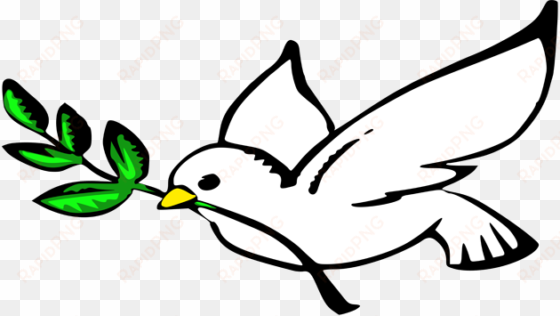 peace in islam - peace dove cartoon