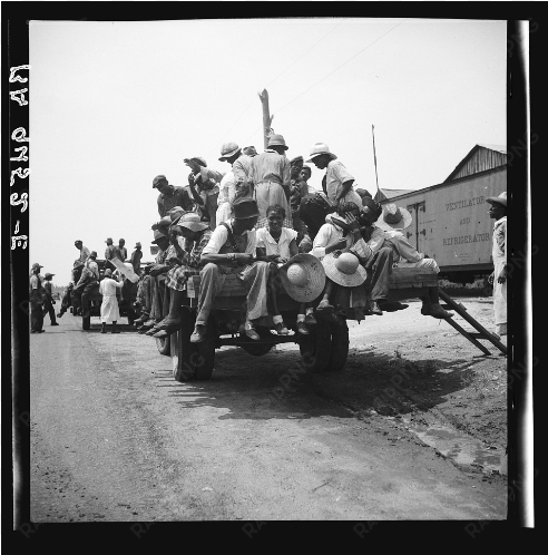 peach pickers being driven to the orchards, muscella, - troop