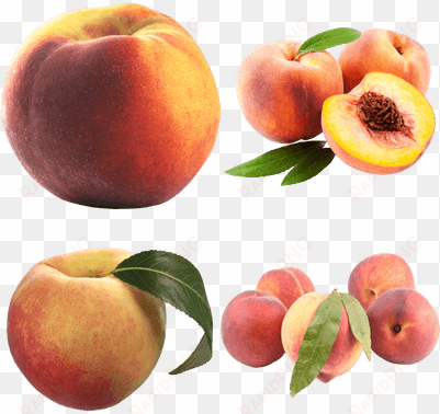 PEACH TRANSPARENT PNG.PNG Peach Transparent Png transparent png image
