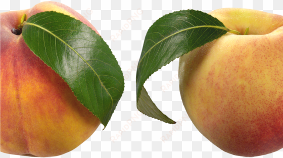 peaches png clipart picture gallery yopriceville high - peach