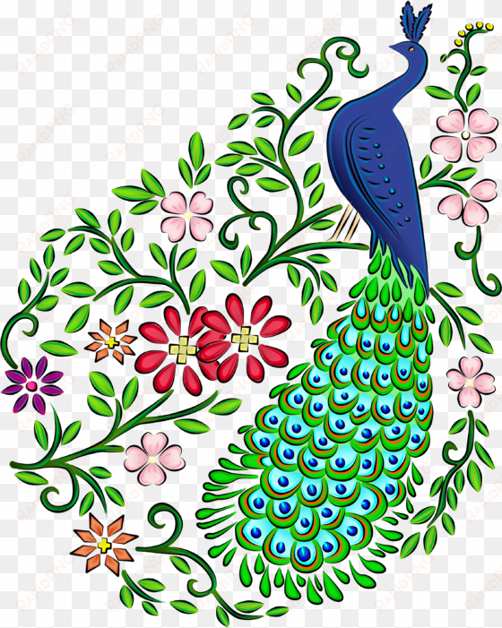 peacock - drawing of a beautiful peacock