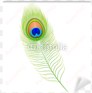 peacock feather png peacock feather - feather