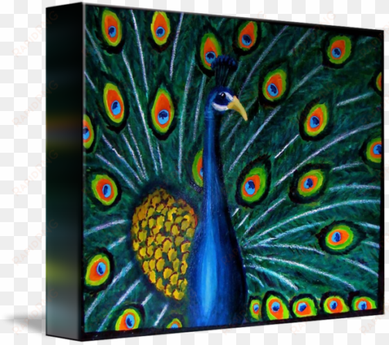 peacock on x canvas - peafowl