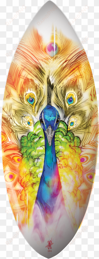 peacock skimboard - peacock surfboards