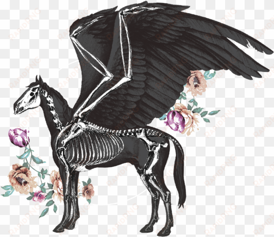 pegasus pale ale - pegasus