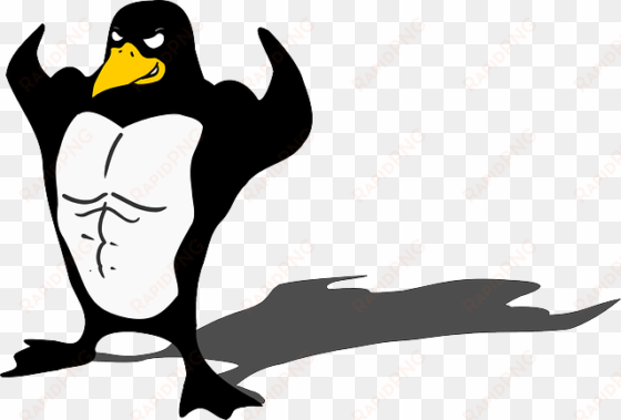 penguin, bodybuilder, linux, muscle, tux, animal, funny - bodybuilder penguin