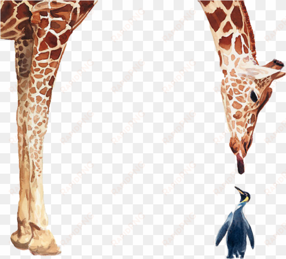 penguin giraffe bird poster painting giraffes and - giraffe and penguin together