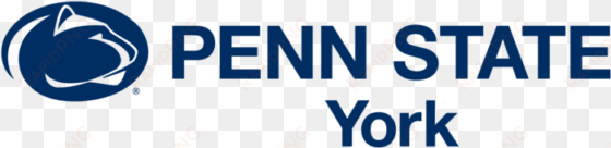 penn state york athletics logo - flag: ncaa penn state nittany lions flag