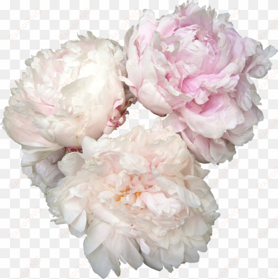 peonies png photos - names of bridal bouquet flowers
