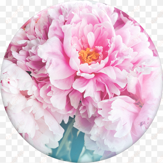 peony - peony popsocket