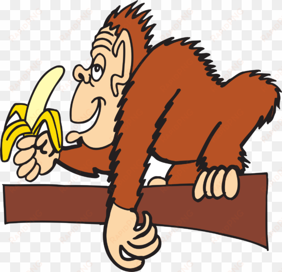 people clipart banana - monkeys eating bananas clipart