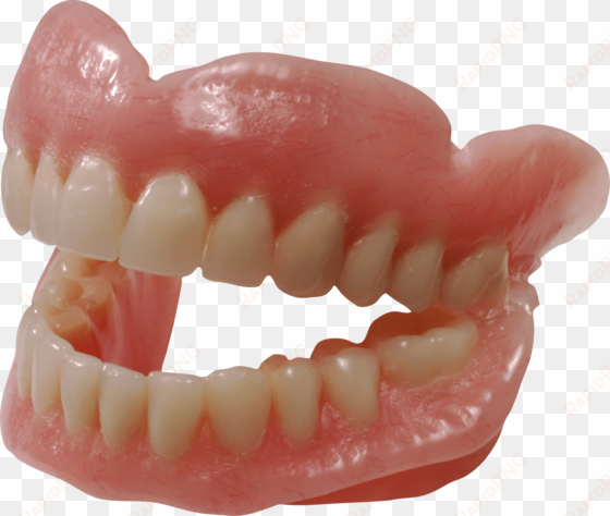 people - teeth - teeth png