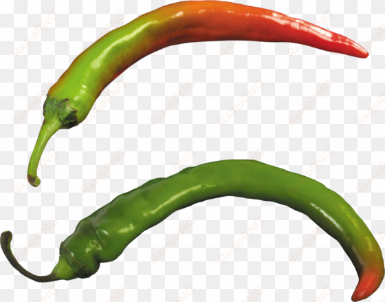 pepper png clipart - green hot pepper png