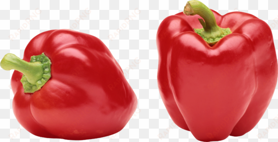 pepper png image - red bell pepper png