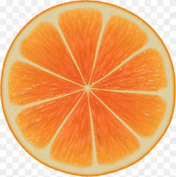 perfect orange halved png image - zest