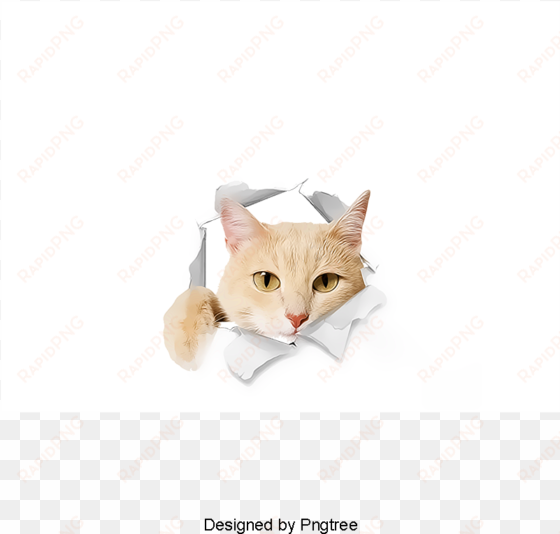 pet cat, cat clipart, kitty, cat child png and psd - cat