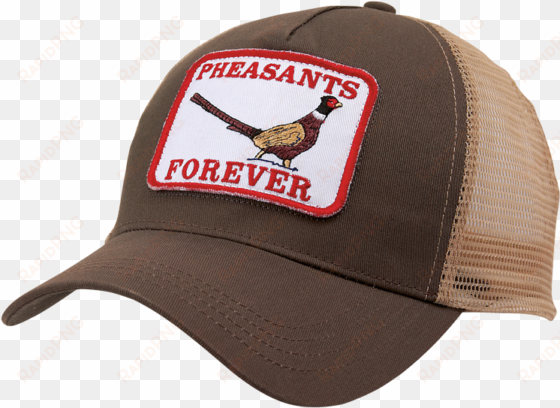 pheasants forever on twitter - pheasants forever retro cap