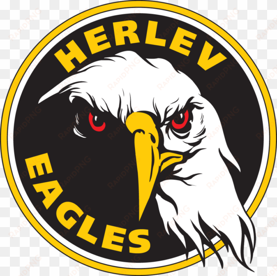 philadelphia eagles logo >> images for > eagles logo - herlev eagles logo