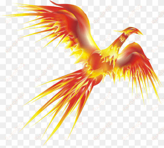 phoenix png transpa images pluspng - fenix corel draw