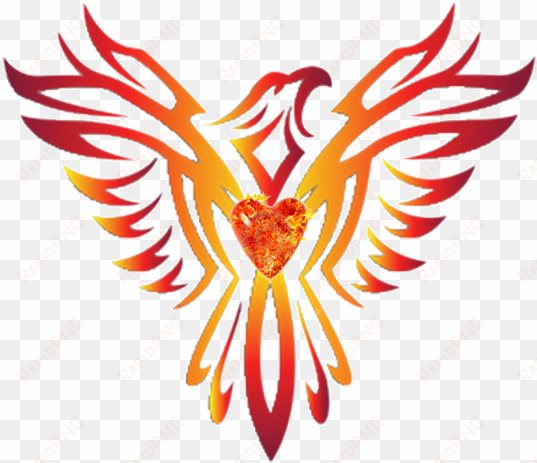 phoenix rising wellness - phoenix bird