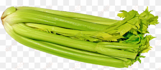 photo 2 from pixabay n9jfqr - celery hearts png