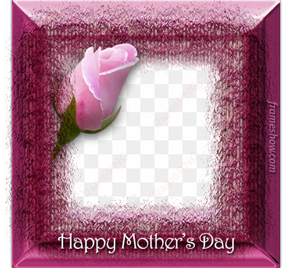 photo frame 0000404 - mothers day photo frame png
