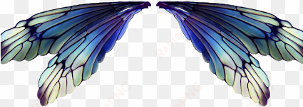 Photo Photo Photo Photo Photo - Transparent Fairy Wings transparent png image